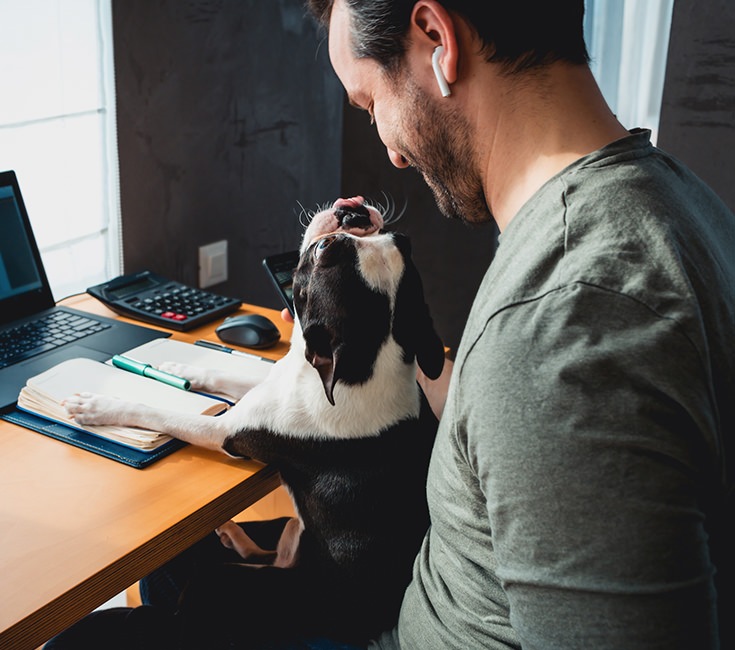  Someone sitting with their dog at a desk at our luxury apartments near Palo Alto, CA, featuring a laptop and notebook.