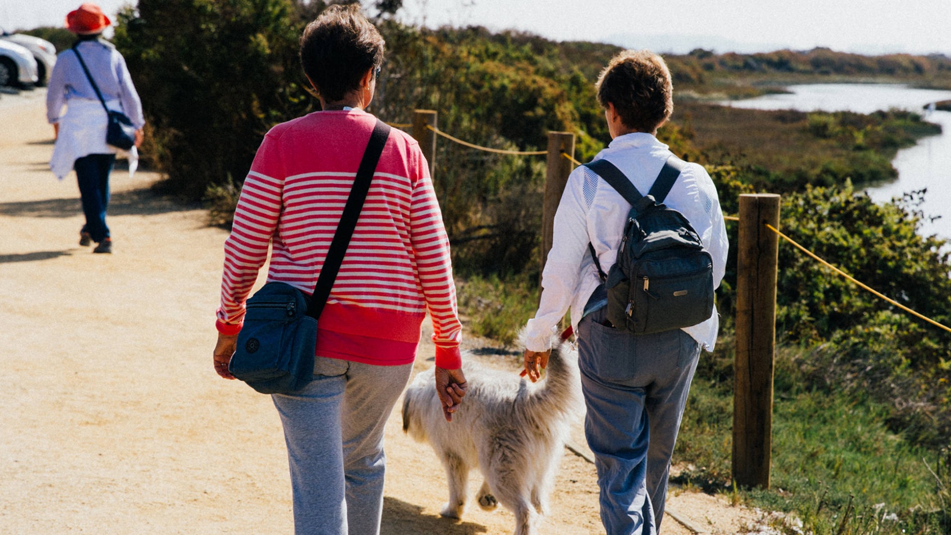 people walking their dog